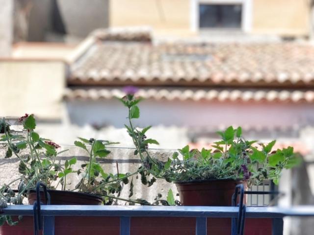 Old Catania Terrace Apartment Exterior photo